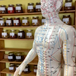 Tradycyjna Medycyna Chińska w praktyce - diagnostyka i terapia